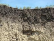 Пронозівка з panoramio.com