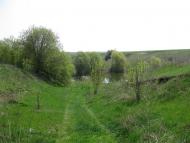 Саранчине з panoramio.com