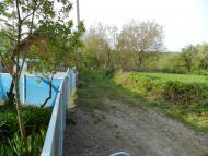 Борсуки з panoramio.com