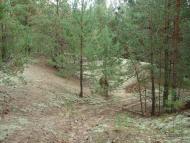 Неданчичі з panoramio.com