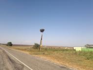 Батальне з panoramio.com