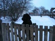 Чайківка з panoramio.com