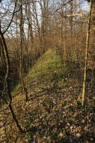 Тетлега з panoramio.com