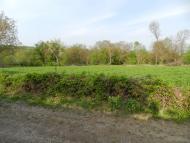 Борсуки з panoramio.com