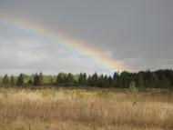 Будилівка - Останні фото