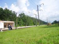 Сальник з panoramio.com