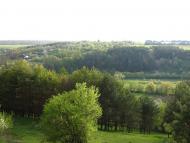 Рачинці з panoramio.com