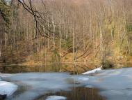 Прокурава з panoramio.com