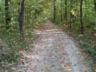 Зелений Гай з panoramio.com