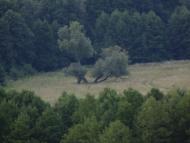 Валки з panoramio.com