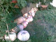 Тишів з panoramio.com