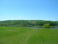 Северинівка з panoramio.com