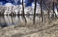 М'якохід з panoramio.com