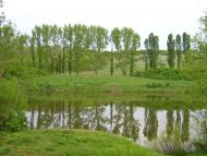 Калінінське з panoramio.com