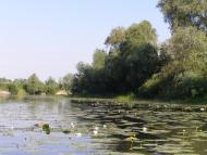 Манухівка з panoramio.com