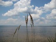 Стовп'яги з panoramio.com