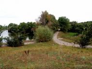 Росоша з panoramio.com