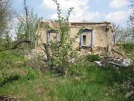 Саранчине з panoramio.com