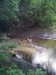 Білокриниця - Останні фото