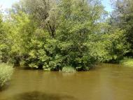 Колесниківка з panoramio.com