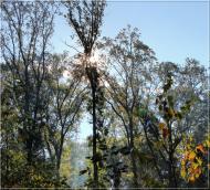 Заострів з panoramio.com