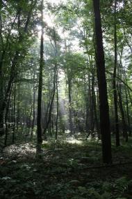 Відники з panoramio.com