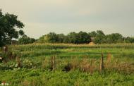 Раухівка з panoramio.com