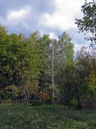 Мала Ганнівка з panoramio.com