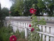 Самгородок з panoramio.com