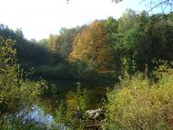 Чернин з panoramio.com