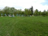 Борсуки з panoramio.com