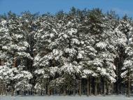 Авдіївка з panoramio.com