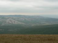 Пчолине з panoramio.com - Пчелиное
