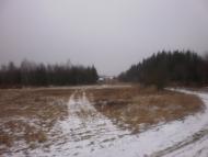 Мигове з panoramio.com