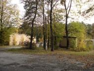Дзензелівка з panoramio.com - Дзензелівка