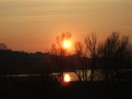 Кулібаба з panoramio.com