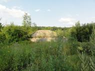 Дзензелівка з panoramio.com