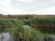 Шевченкове з panoramio.com