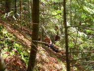 Яблунів з panoramio.com