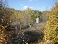 Дзензелівка з panoramio.com