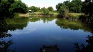 Маринівка з panoramio.com