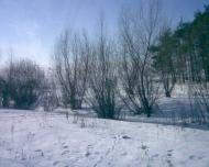 Лісна Поляна з panoramio.com