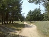 Черкаське з panoramio.com