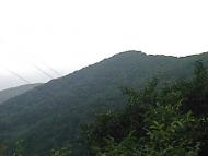 Розтоки з panoramio.com