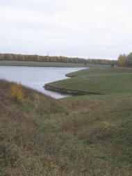 Підліснівка з panoramio.com