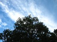 Приворіття з panoramio.com