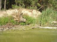 Стовп'яги з panoramio.com