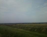 Синява з panoramio.com