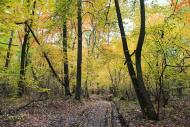 Борщів з panoramio.com