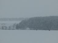 Печище з panoramio.com